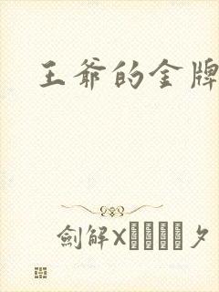 王爷的金牌暗卫