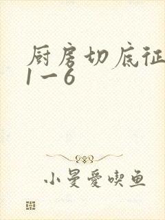 厨房切底征服岳1一6