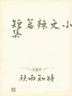 短篇辣文小说合集