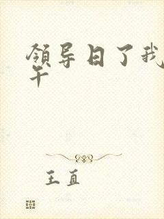 领导日了我一下午