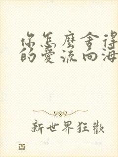 你怎么舍得让我的爱流向海