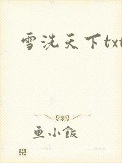 雪洗天下txt
