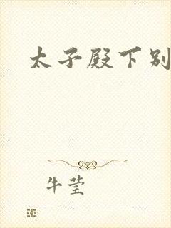 太子殿下别惹我