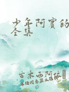 少年阿宾的故事全集