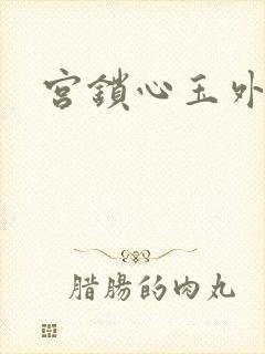 宫锁心玉外传