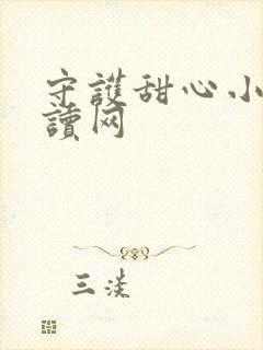 守护甜心小说阅读网