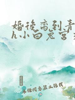 婚后脔到青梅哭h小白兔宫交h