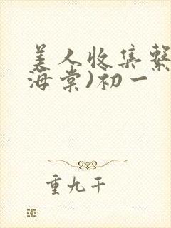 美人收集系统(海棠)初一