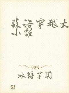 苏洛穿越太监的小说