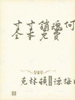 寸寸销魂何生祥全本免费