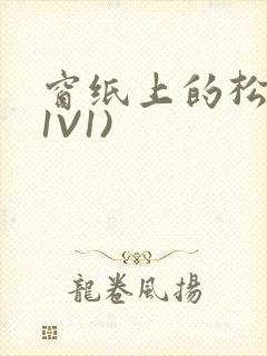 窗纸上的松痕(1V1)