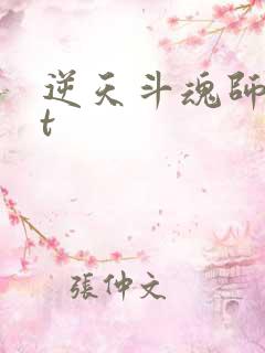 逆天斗魂师txt
