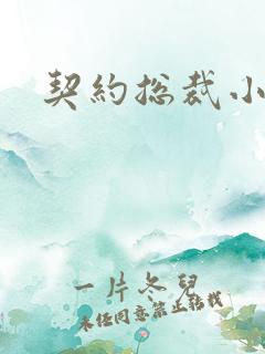 契约总裁小萌宝