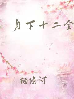 月下十二金钗