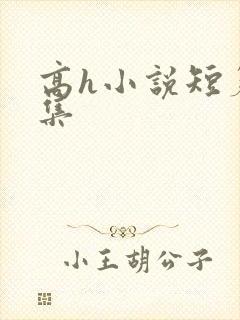 高h小说短篇合集