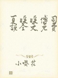 夏暖暖傅司寒小说全文免费阅读