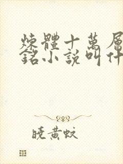 炼体十万层轩辕铭小说叫什么