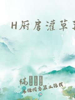 H厨房灌草莓