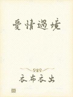 爱情过境