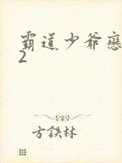 霸道少爷恋上我2