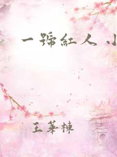 一号红人 小说