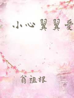 小心翼翼爱上你