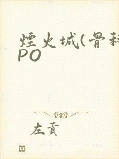 烟火城(骨科)PO