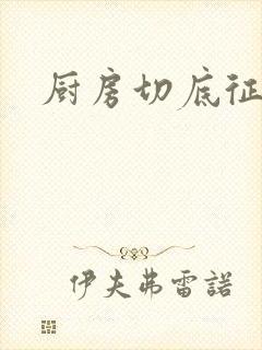 厨房切底征服岳