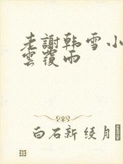 老谢韩雪小说翻云覆雨
