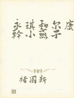 永琪和尔康一起干小燕子