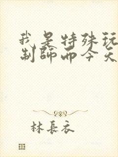 我是特殊玩具定制师而今天的客户