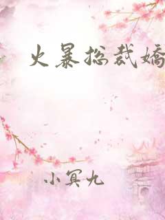 火暴总裁娇柔妻
