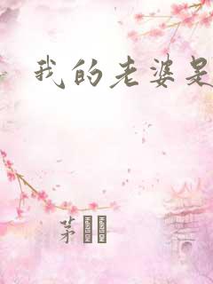 我的老婆是大神