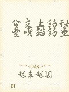 公交上的秘密 爱吃猫的鱼