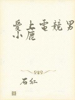 爱上电竞男神林小鹿