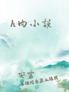 h肉小说
