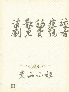 消散的痕迹电视剧免费观看完整版