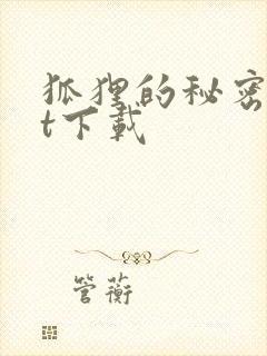 狐狸的秘密txt下载