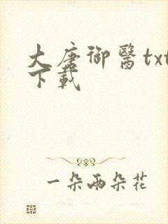 大唐御医txt下载