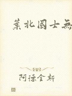 叶北国士无双