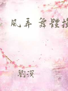 风弄 舞体投递