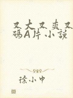 又大又爽又黄无码A片小说