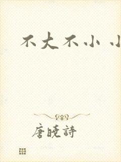 不大不小 小说
