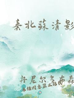 秦北苏清影小说