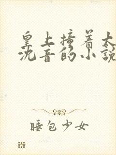 皇上撞着太子妃沈音的小说叫什么