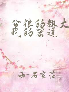 公狼的粗大挺进我的密道