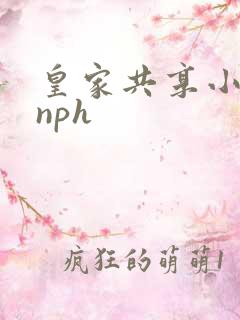皇家共享小公主nph