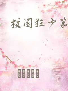 校园狂少第二部