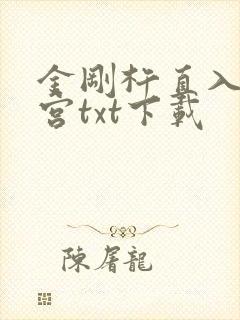 金刚杵直入莲花宫txt下载