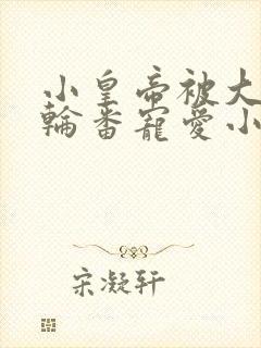 小皇帝被大臣们轮番宠爱小说